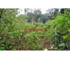 15 Acres neglected coffee estate for sale at madikeri