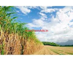 80 Guntha, Ranmala Kadus, Agriculture land for sale