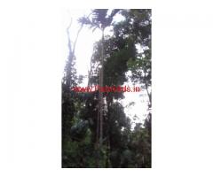6 Acre Land with a small Home for sale in Manathavady Wayanad