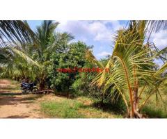 70 Acres of Agriculture farm land for sale at near Penukonda