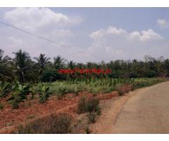 2 acre Agriculture land for sale near bellur cross - Nagamangala