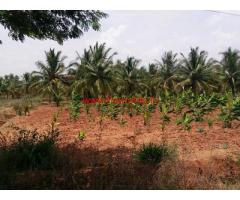 2 acre Agriculture land for sale near bellur cross - Nagamangala