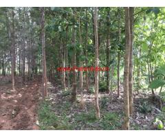 15 Acers Agricultural Land for sale attached to Nagarahole forest