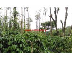 550 Acres Coffee Estate for sale in Madikeri, 10 km from Town