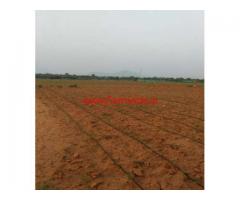 35 acres agriculture land for lease B. Kothakota in chittoor district