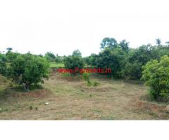 3.80 acres mango farm land for sale near shoolagiri in Hosur