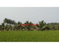 6 Acres Coconut and Agriculture Land for sale near Karathluvu - Udumalpet