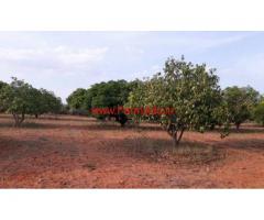 9 acre of Mango farm for sale near Chintamani