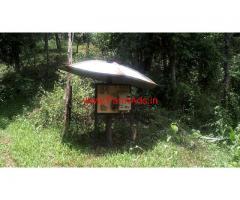 12 Acre Record coffee estate for sale  at Mudigere - Janage