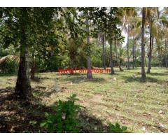 27 gunta agriculture farm land is for sale in Chanapatna