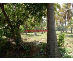 27 gunta agriculture farm land is for sale in Chanapatna