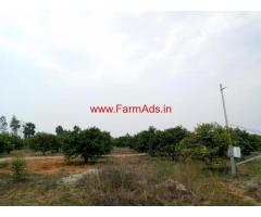 For Sale - 9.5 Acres Mosambi Estate near to Hyderabad Chityala