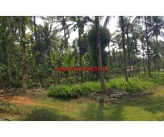 Beautiful 1 acre river touch farm land for sale in mananthavady