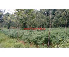 8 acre coffee estate farm house for sale in coorg , Somwarpete taluk.