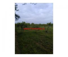 19 acres agriculture garden in Nellore District for sale, near Atmakur