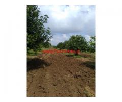 19 acres agriculture garden in Nellore District for sale, near Atmakur