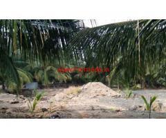 2.85 acre coconut farm sale in kottapalayam, near palladam