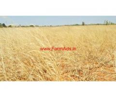 Sale - 5 acres beautiful agricultural farm land for sale in Bagepalli