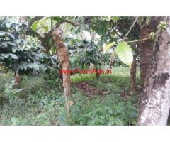 3 acre Coffee land with a small house for sale in wayanad near chundel