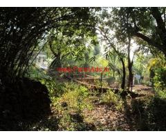 338 sq meters square shaped land for sale at Tivim Goa