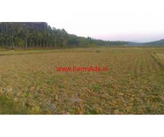 5 Acre Agriculture Land for sale at panamaram, Wayanad