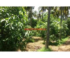 2.5 Acres Fertile Farm Land fro sale near Chittur - Palakkad