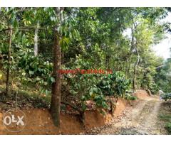 Agriculture land with house for sale at Vellamunda - Wayanad