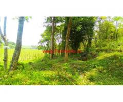1 acre farm land for sale, 5 KMS from Panamaram - Wayanad
