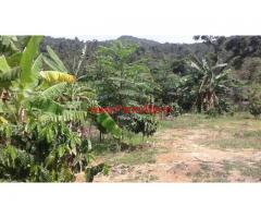 3.5 Acre Coffee Estate for sale at Chikmagalur, near Shirvase