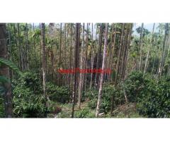 30 acre Coffee Estate with Home Stay Property for sale at Jaipura - Koppa