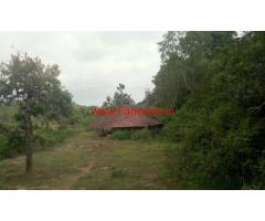4 acre plain land with 1 acre paddy field for sale near Mananthavady,