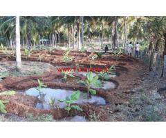 9.50 Acre of Agriculture land for sale at Kottathara, Attapady,  Palakkad.