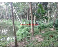 75 Cents Land for sale at Vellarada -Thiruvananthapuram