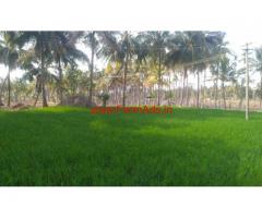 1.5 Acre Diary - Agriculture land for sale Adimalaipudur, papireddypatti