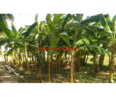 1.5 Acre Diary - Agriculture land for sale Adimalaipudur, papireddypatti