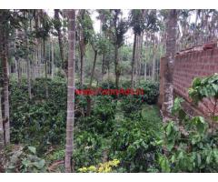 Coffee estate for sale at Chickmaglur district. 67 acres
