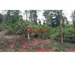 14.5 Acres Coffee Estate for sale at Virajpete - Coorg.