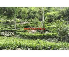 3.65 Ares Farm land for sale at Tangara - Ooty
