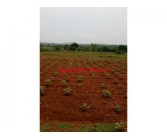 20 Acres Red soil agriculture land for sale at Hullahalli, Nanjangud
