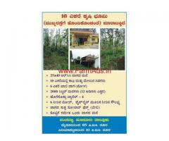 16 Acre Farm land for sale at Panchavalli - Hunsur