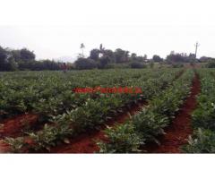 4 acres pure red soil agriculture land for sale at B Kothakota Mandal