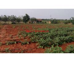 4 acres pure red soil agriculture land for sale at B Kothakota Mandal