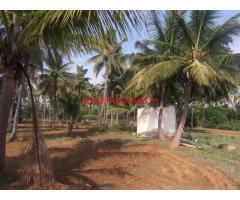 2 Acres Coconut Farm Land for sale, 4 Mins from Chennapatna bus stop
