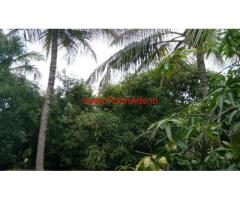 16 acre Mango groove for sale, 100 kms from tirupati