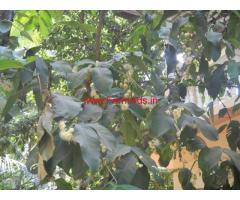 Farm house in half acre agriland close to Nagaon Beach for sale