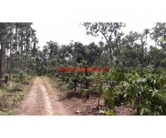 3 Acre farm land for sale in Wayanad, Panamaram.