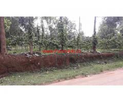 3 Acre farm land for sale in Wayanad, Panamaram.