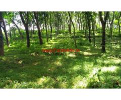 3 Acres land for sale at Ernakulam, 16 KMS from Airport