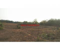 3.45 Acres plain agri land for sale in Margao