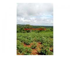 50 Acres Farm land for sale - 40 KMs from Nanjangud